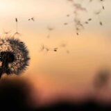 https://gssp.developer.co.pl/wp-content/uploads/2018/09/post_02-160x160.jpg